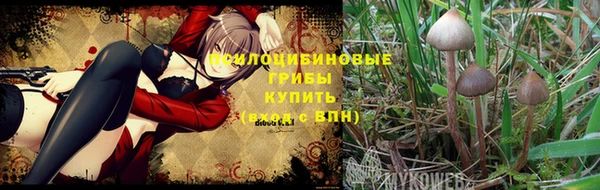 соль ск Корсаков