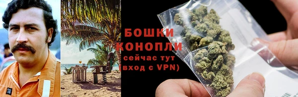 PSILOCYBIN Коряжма