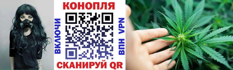 Канабис SATIVA & INDICA  Купить закладки  Ефремов 